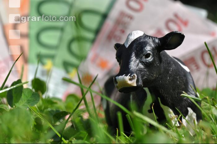 Finanzen Rinder 17