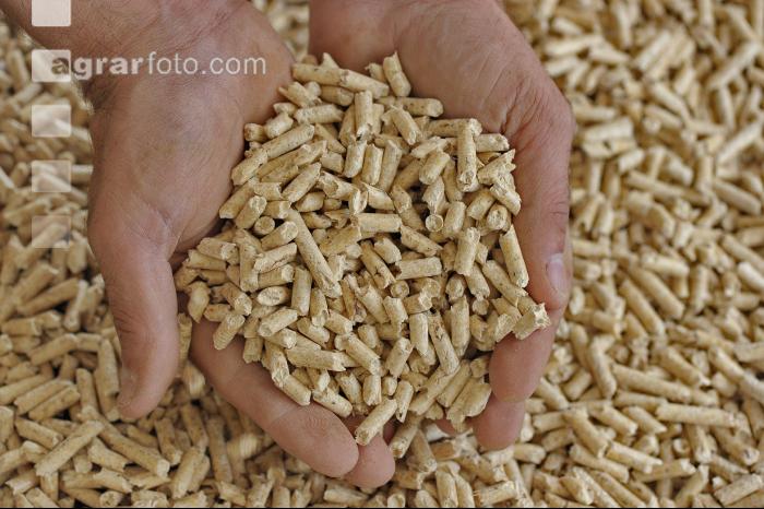 Pellets 11