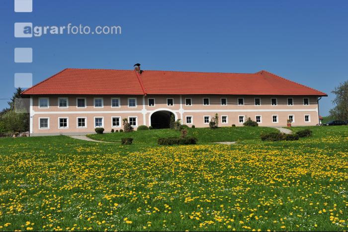 Vierkanthof 3