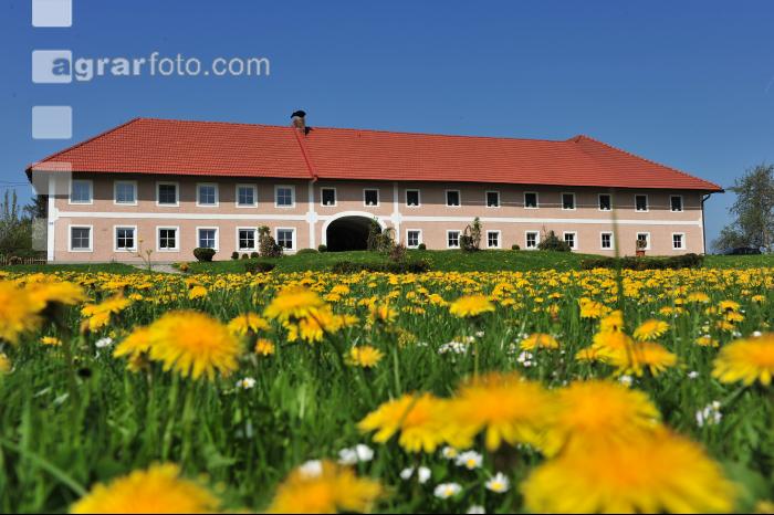 Vierkanthof 4