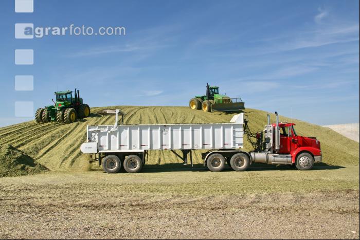 Triticale Ernte J 2