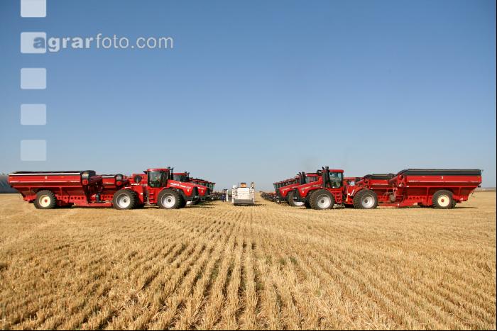 Gerste Ernte J 39