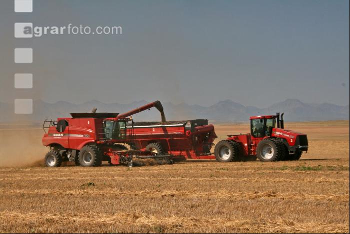 Gerste Ernte J 35