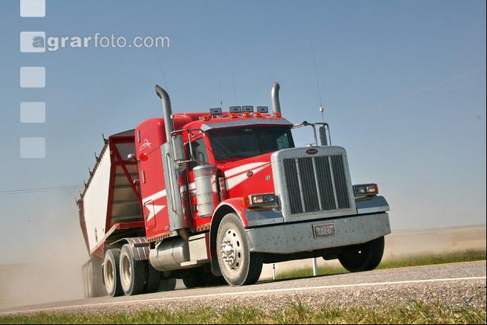 Gerste Ernte J 20