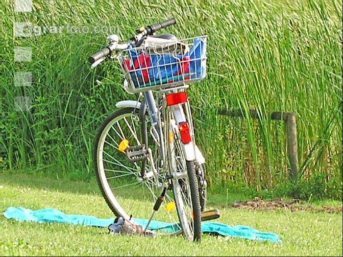 Radfahren 4