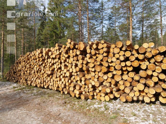 Holzlager 7