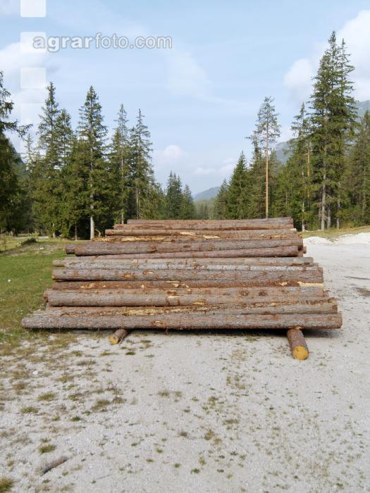 Holzlager 4