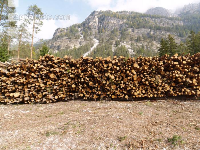 Holzlager 2