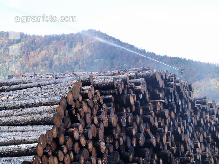 Holz Nasslager 4