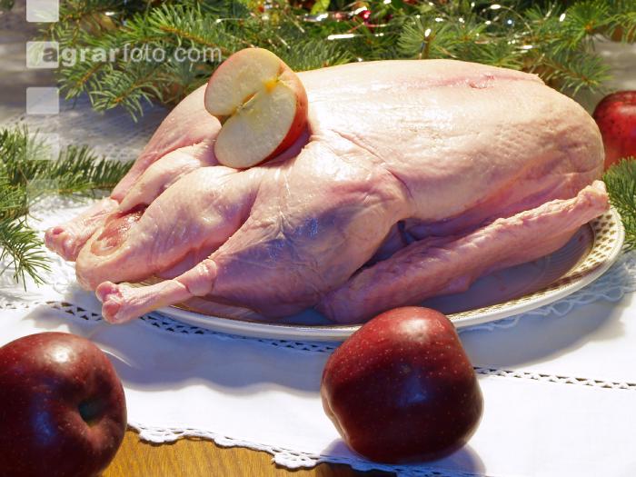 Weihnachtsgans
