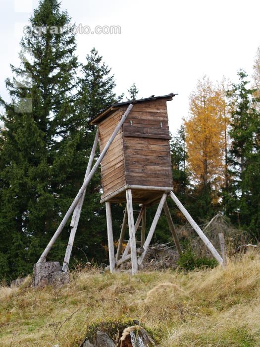 Hochstand 15