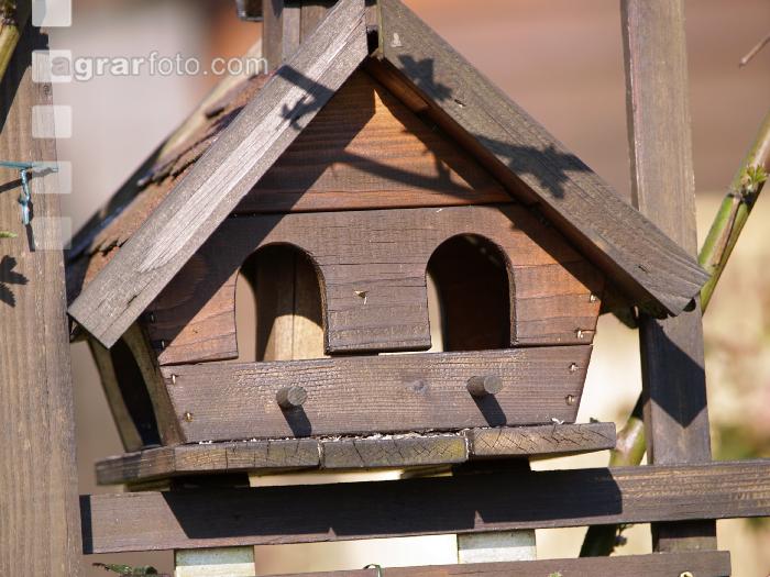 Vogelhaus 2