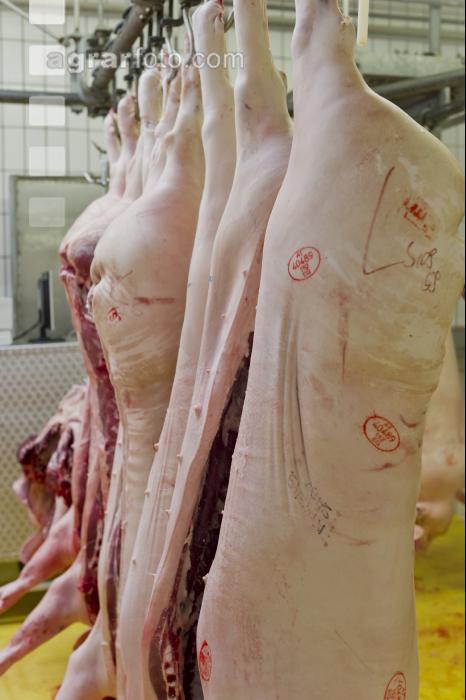 Schwein zerteilen 14