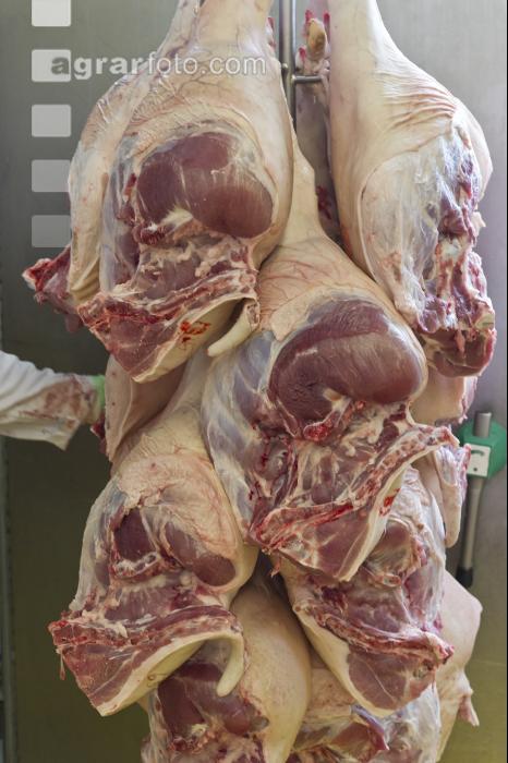 Schwein zerteilen 19