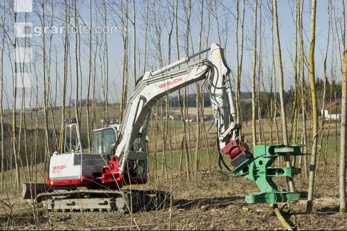 Energieholz Ernte 35