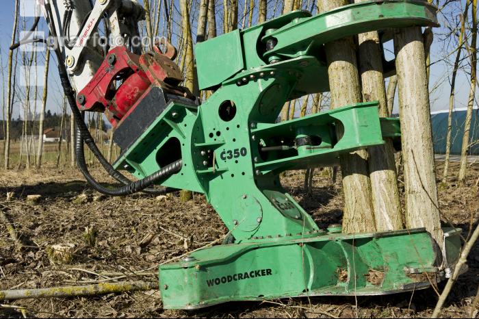Energieholz Ernte 41