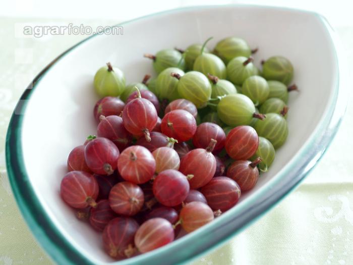 Stachelbeeren 4