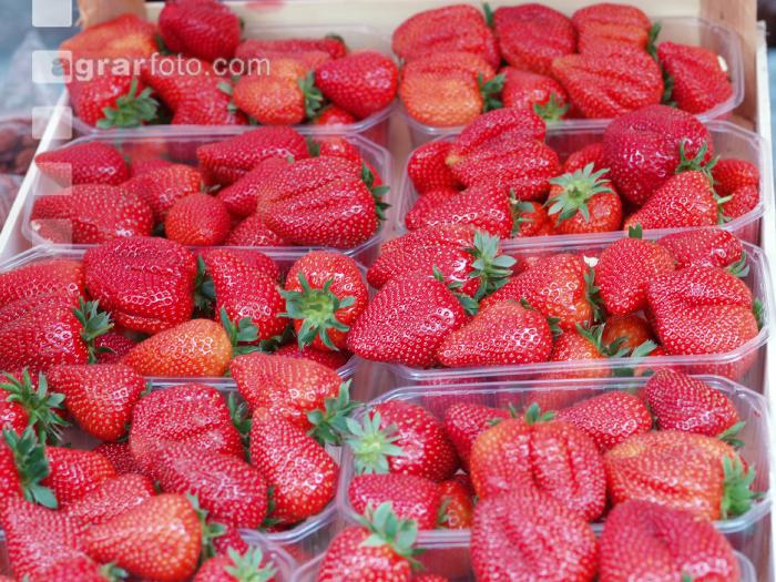 Erdbeeren 4