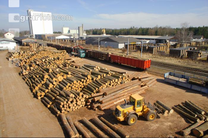 Holzverladung Bahn 1