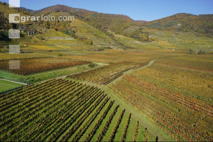 Wachau 5