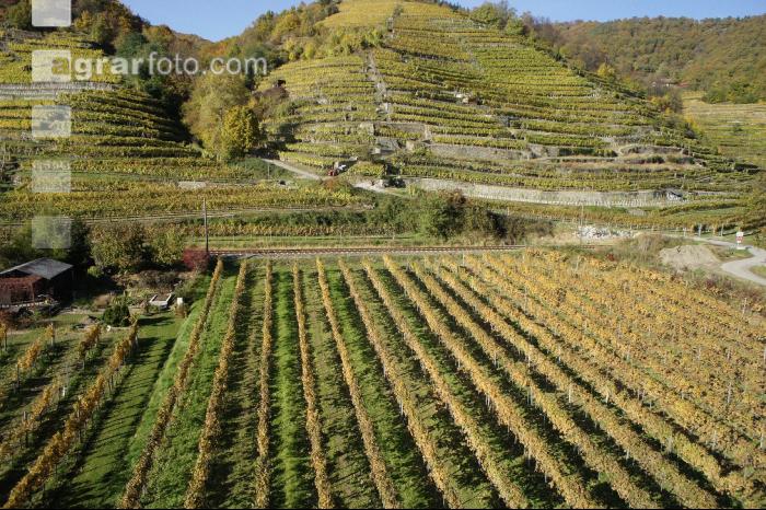 Wachau 7