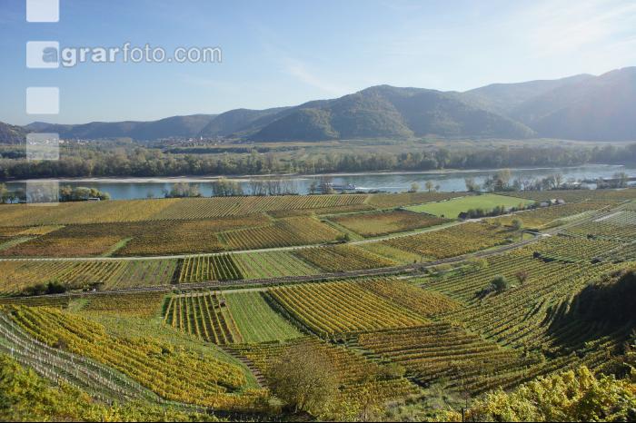 Wachau 8