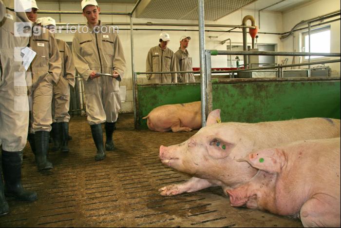 Tierhaltungslehrgang J 12