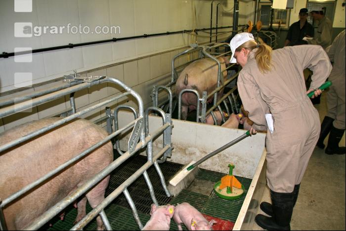 Tierhaltungslehrgang J 4