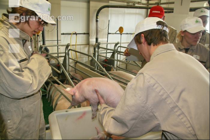 Tierhaltungslehrgang J 4