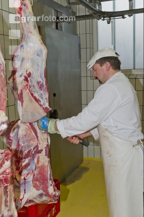 Rind zerteilen 2