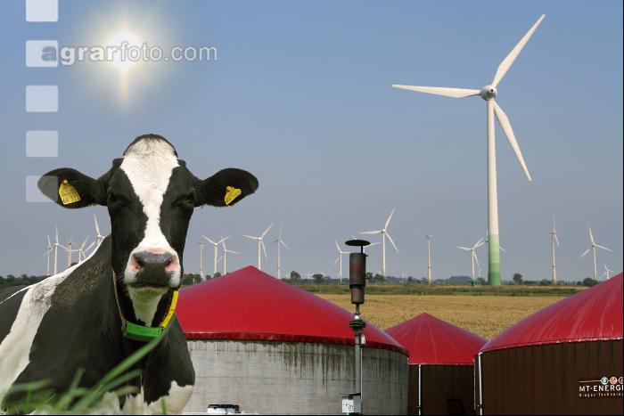 Erneuerbare Energie 4
