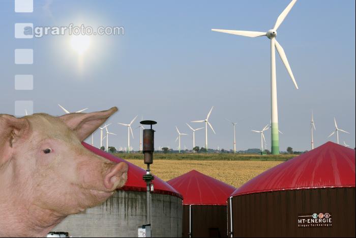 Erneuerbare Energie 5
