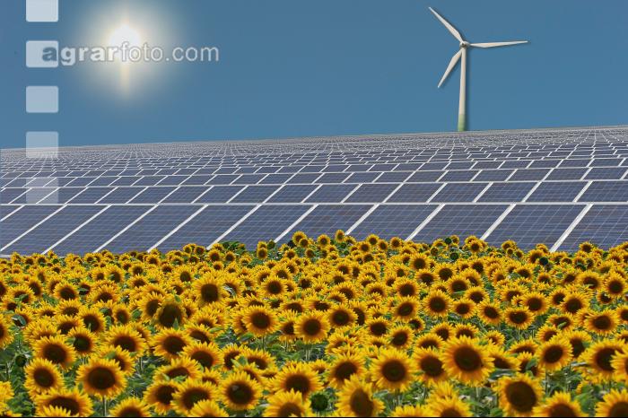 Erneuerbare Energie 8