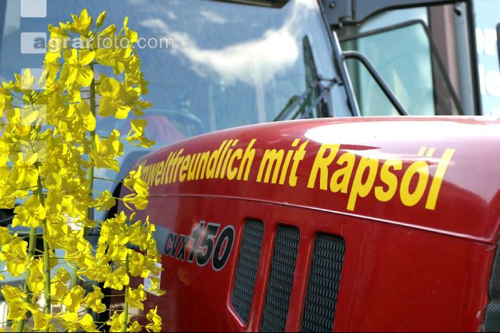 Rapsöl Treibstoff 1