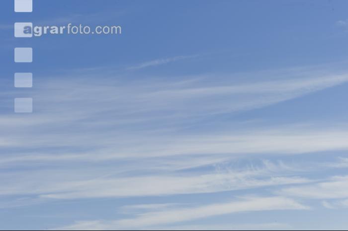 Wolken 11