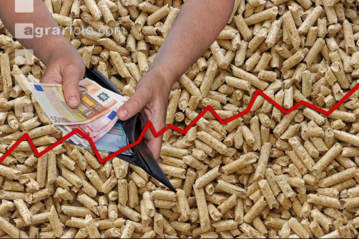 Pellets Preis 1