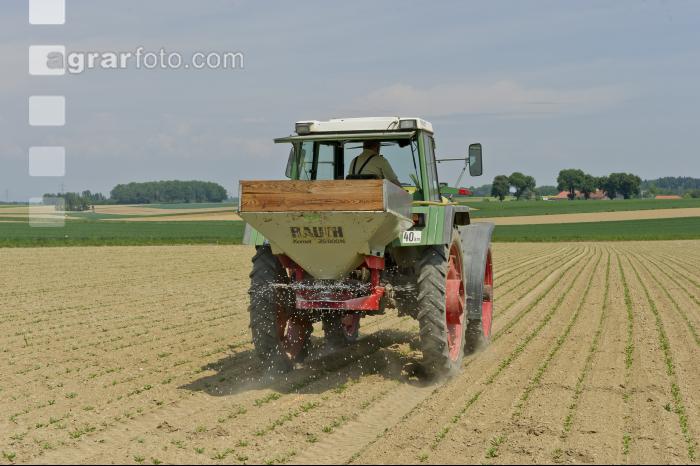 Beet fertilisation 20