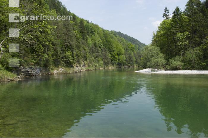 Steyr Fluss 5