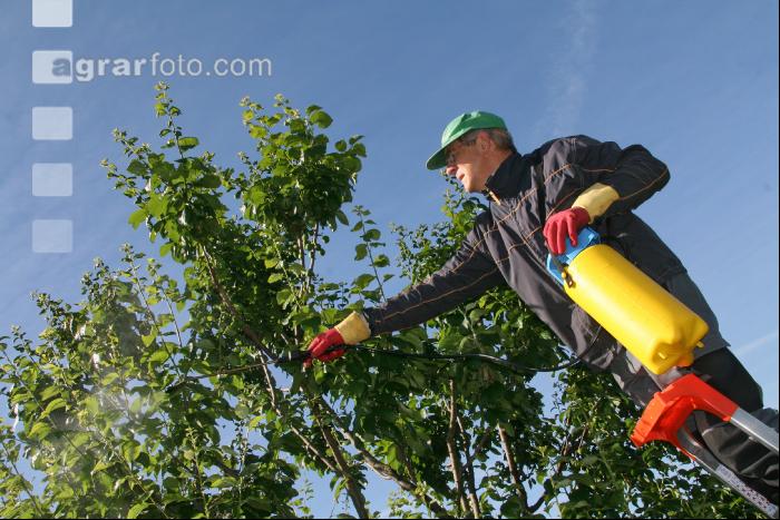 Garten Pflanzenschutz J 4