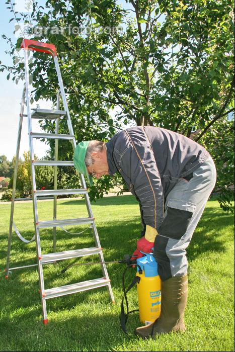 Garten Pflanzenschutz J 3