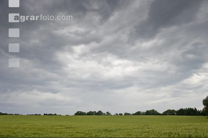 Gewitterwolken 1