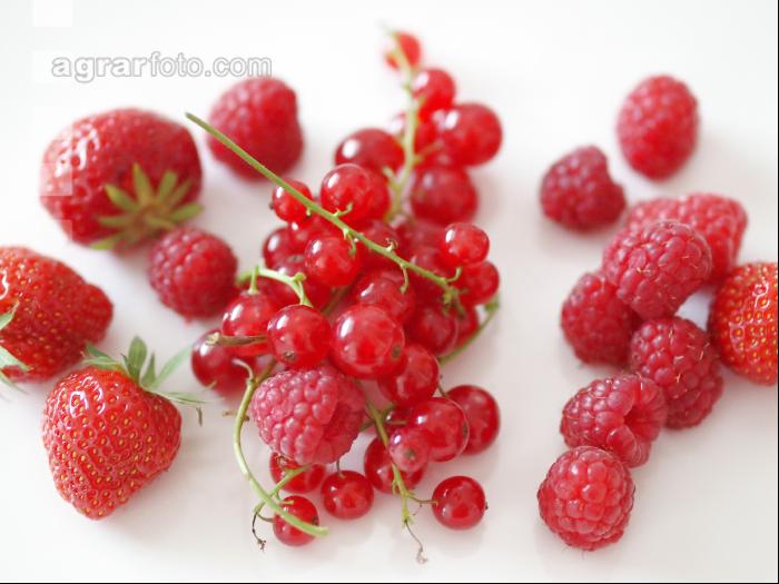 Beerenmix 5