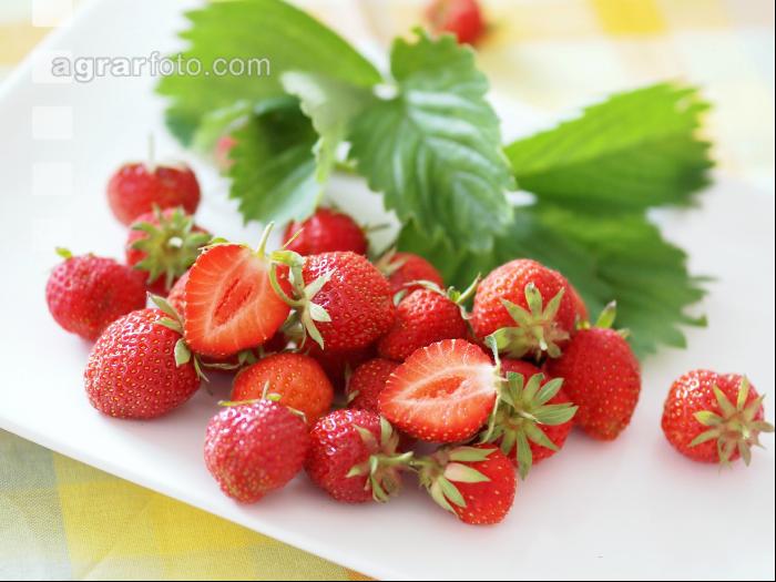 Erdbeeren 5