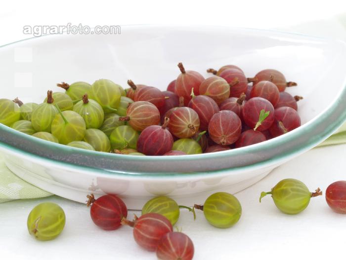 Stachelbeeren 6