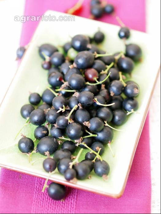 Jostabeeren 4