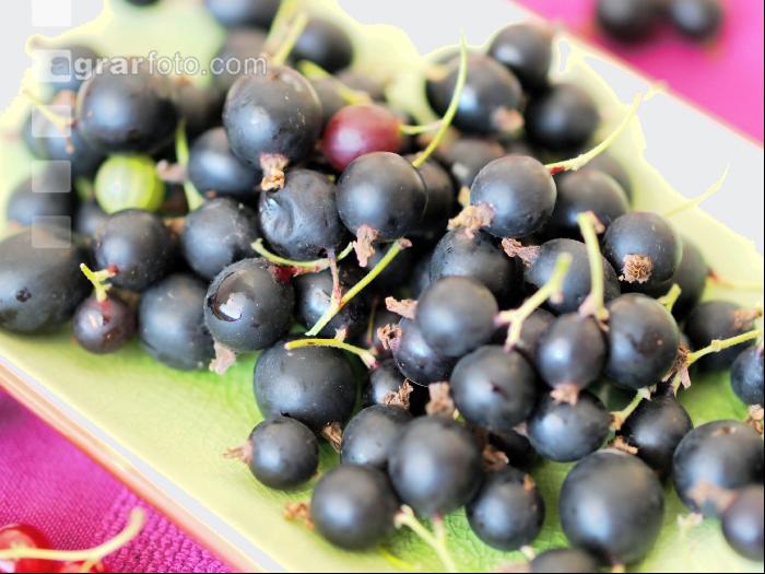 Jostabeeren 3
