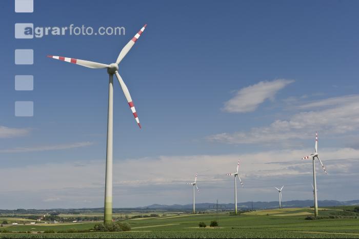 Windrad 21