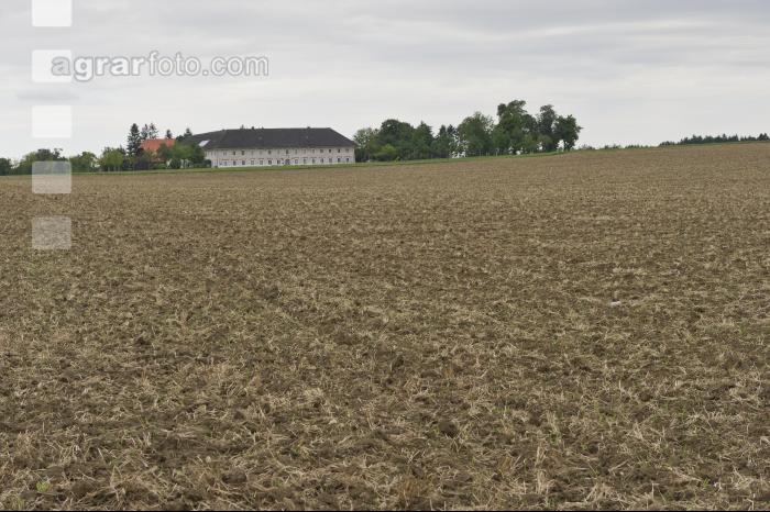 Vierkanthof 1