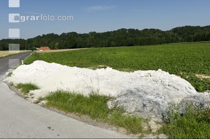 Rübenschlamm 2