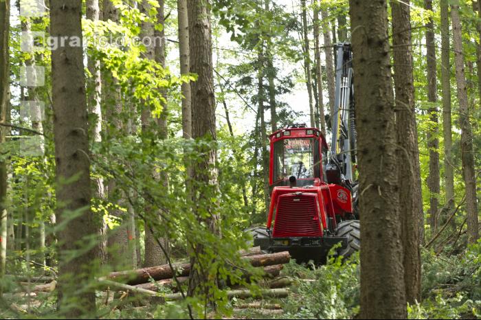 Forwarder 51